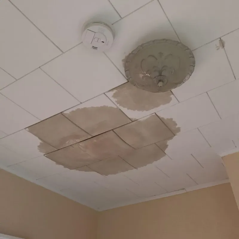 Ceiling Water Damage Repair in Republic, MO